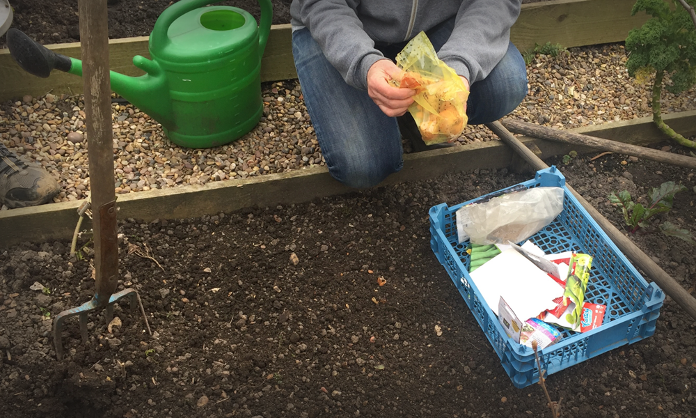 Content_img_gardening