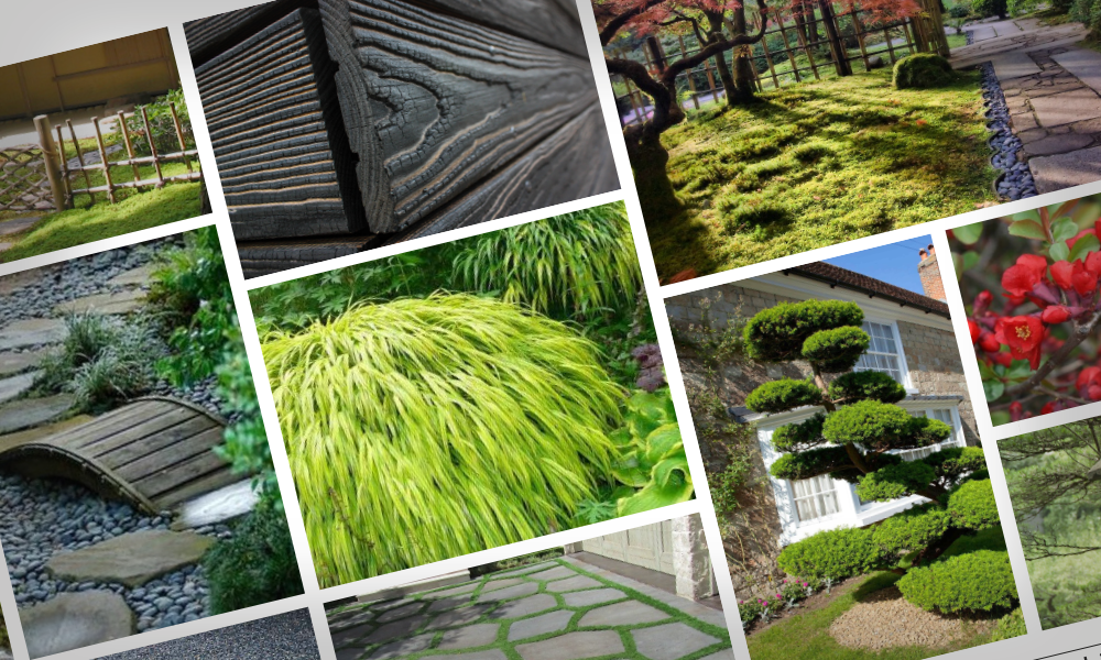 Moodboard with Japanese style images