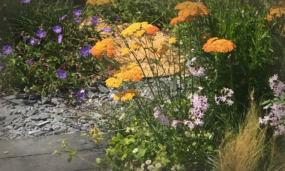 Content_img_orangepurple