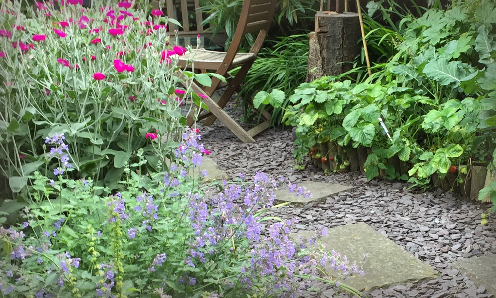 Content_img_slateseating Close up of garden with slate on ground, wooden seat and Lychnis coronaria